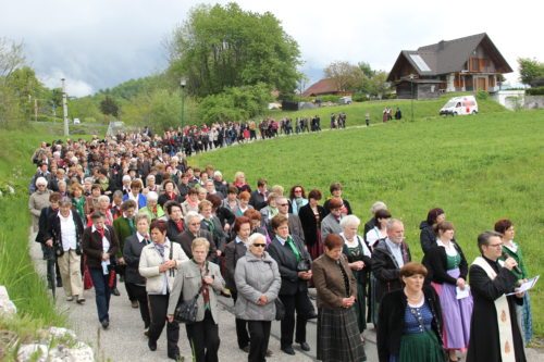 (© Foto: Landwirtschaftskammer Kärnten) (© Foto: Landwirtschaftskammer Kärnten)