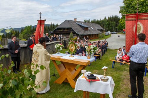 Festmesse zum Patrozinium<br />
Foto: Anton Wieser