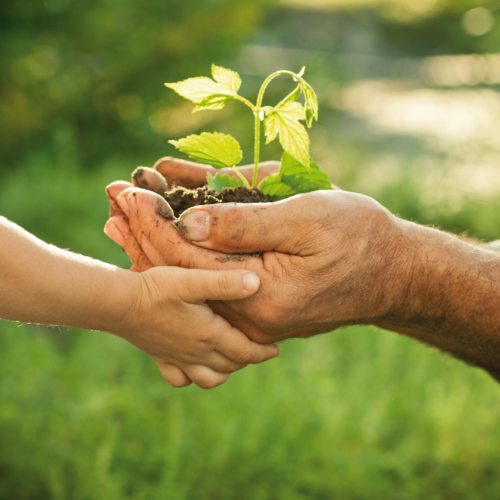 Schöpfungsgerechtes Handeln (© Foto: © Igor Yaruta - Fotolia.com)