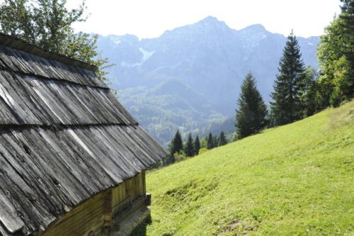 Bildunterschrift (Bildrechte sind zwingend anzugeben!)