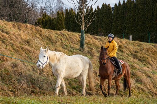 Carletto und Italy sind mit dabei<br />
Foto: Anton Wieser