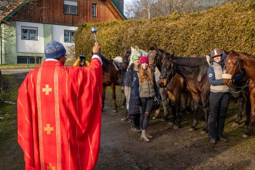 Pferdesegnung in Treffelsdorf<br />
Foto: Anton Wieser