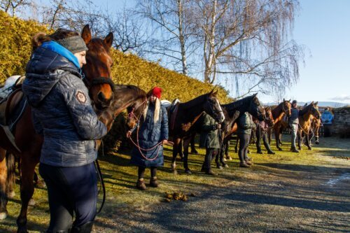 Segnung der Pferde des Reitstalles Moshammer<br />
Foto: Anton Wieser