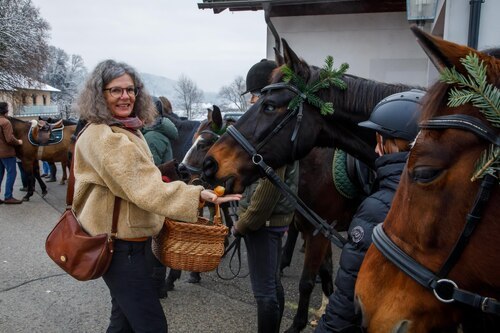 Belohnung für die Pferde<br />
Foto: Anton Wieser