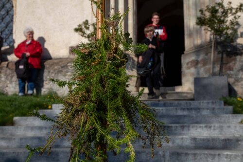 Vierbergelaub<br />
Foto: Anton Wieser