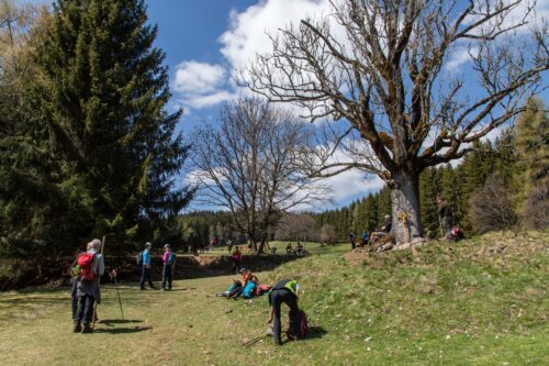 vor der sogenannten “Blutwiese“<br />
Foto: Anton Wieser