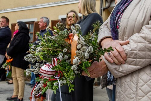 Palmzweige<br />
Foto: Anton Wieser