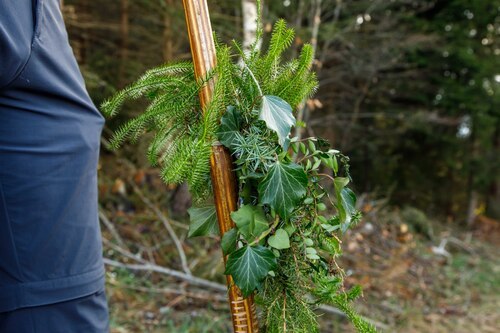 Vierbergelaub<br />
Foto: Anton Wieser