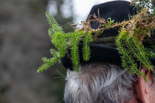 Bergerlaub “Bärlap“<br />
Foto: Anton Wieser