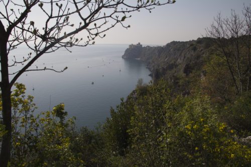 Blick auf das Castello di Duino (© Foto: Priesterseminar)