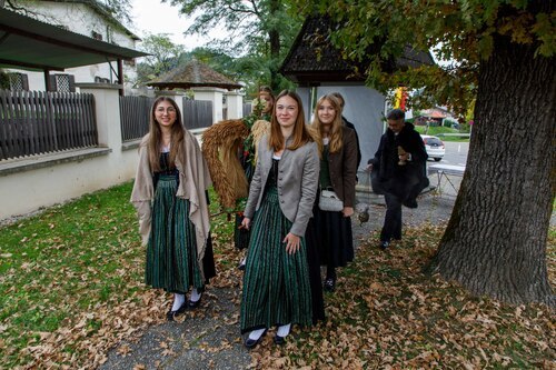 Landjugend Frauenstein mit Erntekrone<br />
Foto: Anton Wieser