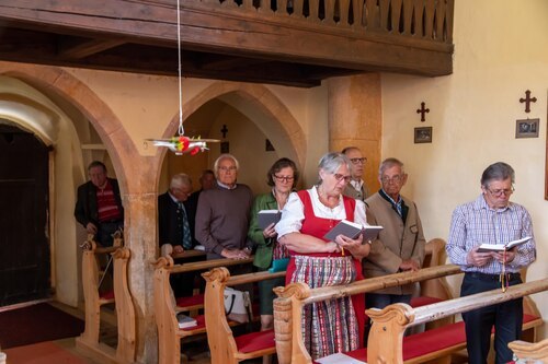 herabschwebende Taube<br />
Foto: Anton Wieser