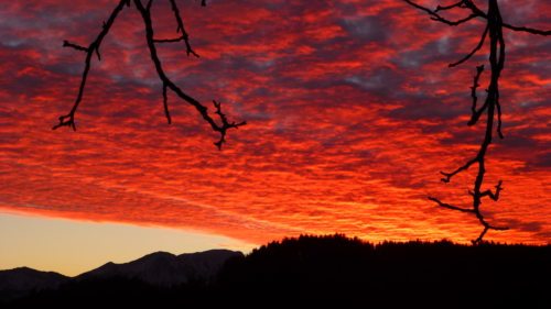 Sein Unglück sagen können und weinen können - das wäre schon fast wieder Glück. (© Foto: UM)