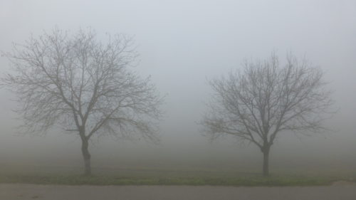 Nebel drängt die Welt nach innen (© Foto: UM)