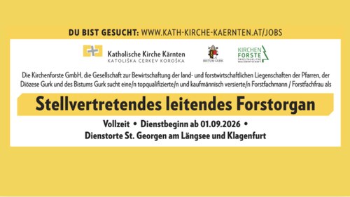 Bildunterschrift (Bildrechte sind zwingend anzugeben!)