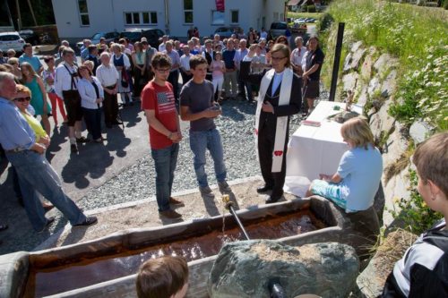 Wasserweihe (© Foto: Anton Wieser)