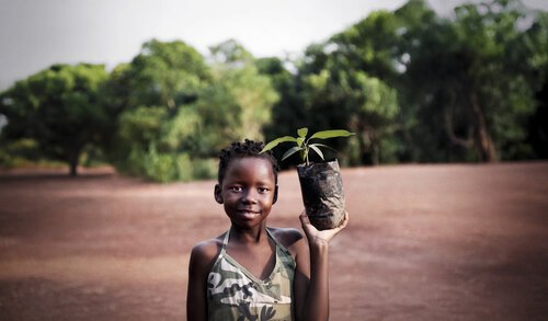 Caritas- Augustsammlung gegen den Hunger in der Welt (foto: Caritas Kärnten)