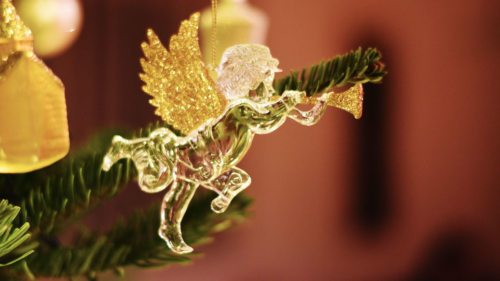 (© Foto: Karl-Heinz Kronawetter / Internetredaktion) (© Foto: Karl-Heinz Kronawetter / Internetredaktion)