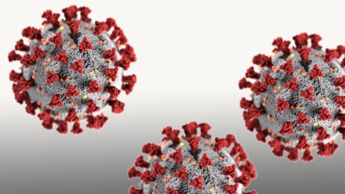 3D-Grafik des SARS-CoV-2-Virions (Foto: CDC/ Alissa Eckert, MS; Dan Higgins, MAM / Public domain) - Collage: KHK
