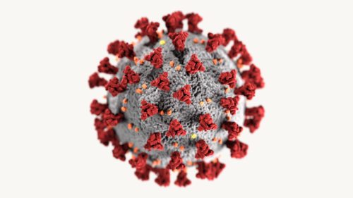 3D-Grafik des SARS-CoV-2-Virions (Foto: CDC/ Alissa Eckert, MS; Dan Higgins, MAM / Public domain) 3D-Grafik des SARS-CoV-2-Virions (Foto: CDC/ Alissa Eckert, MS; Dan Higgins, MAM / Public domain)