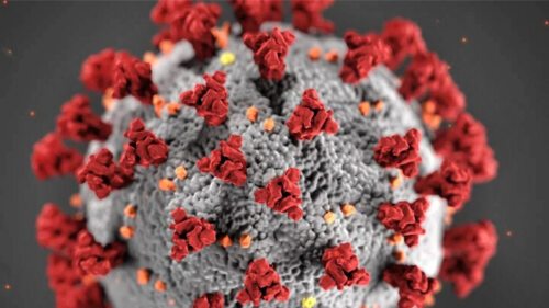 Coronavirus © Quelle: Cdc/ZUMA Wire/dpa Coronavirus © Quelle: Cdc/ZUMA Wire/dpa