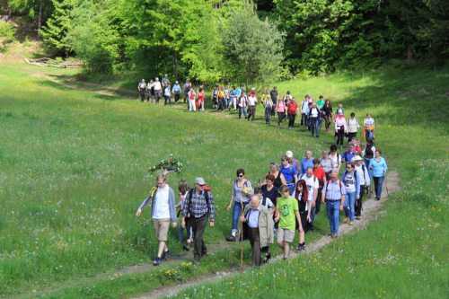 Auf den Radsberg hinauf (© Foto: Reinhard Wagner und Siegmund Weitlaner)