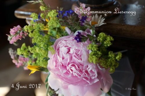 Lieseregg (© Foto: Daniela Liebhart-Koch)