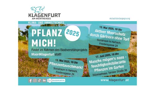 Bildunterschrift (Bildrechte sind zwingend anzugeben!)