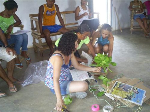 Die Pflanzen verstehen - 10Envolvimento Brasil (© Foto: Martin Maier) Die Pflanzen verstehen - 10Envolvimento Brasil (© Foto: Martin Maier)