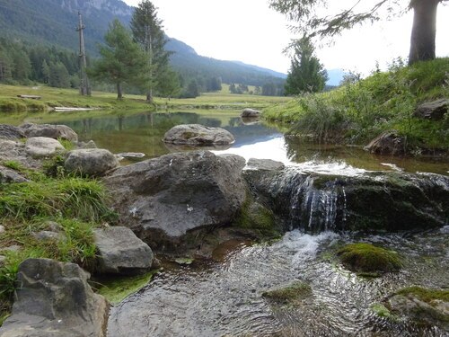 Köstendorf-Siebenbrünn: Teich und Schinzengraben-Bach. Bild: P.St.