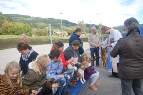 Tiersegnung (© Foto: Angela Münzer)