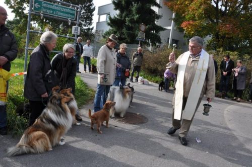 Alle Tiere wurden von Pfr. Josef Damej gesegnet. (© Foto: Christiana Potocnik) Alle Tiere wurden von Pfr. Josef Damej gesegnet. (© Foto: Christiana Potocnik)