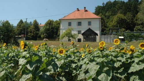 Pfarrhof in Neuhaus-Suha (Foto/slika: Pfarrarchiv Neuhaus-Suha)