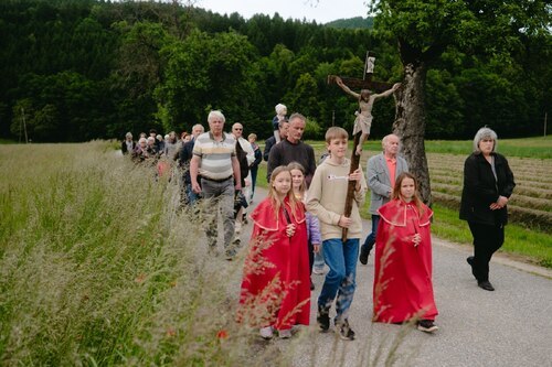 An den Tagen vor Christi Himmelfahrt finden in zahlreichen Kärntner Pfarren Bittprozessionen und Flurumgänge statt: (Im Bild: Bittprozession 2025 in Selkach/Želuče in der Pfarre Ludmannsdorf/Bilčovs) Foto: Stefan Reichmann