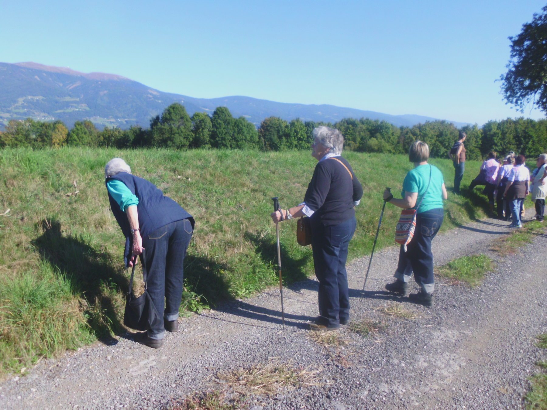 Amosfun Drahtkorb Für Gitterwand - Schwarzes Regal Zur Organisation