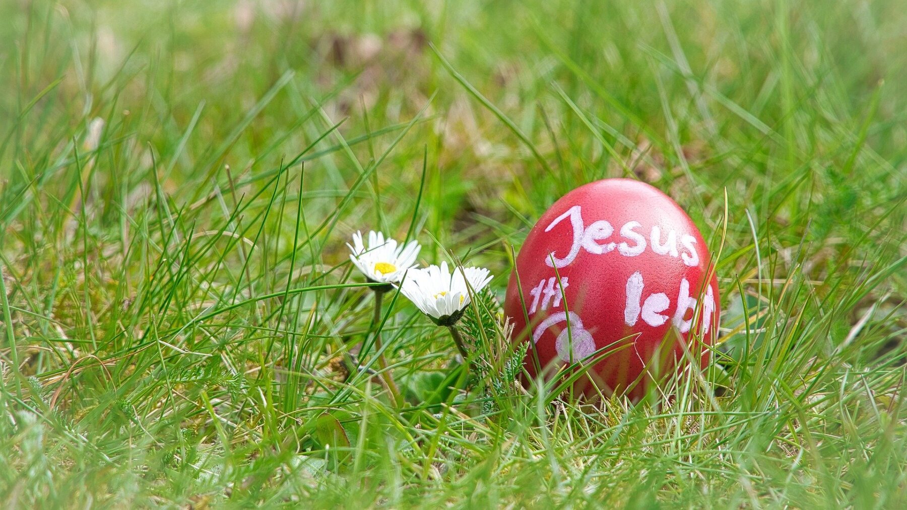 Livestream am Ostersonntag