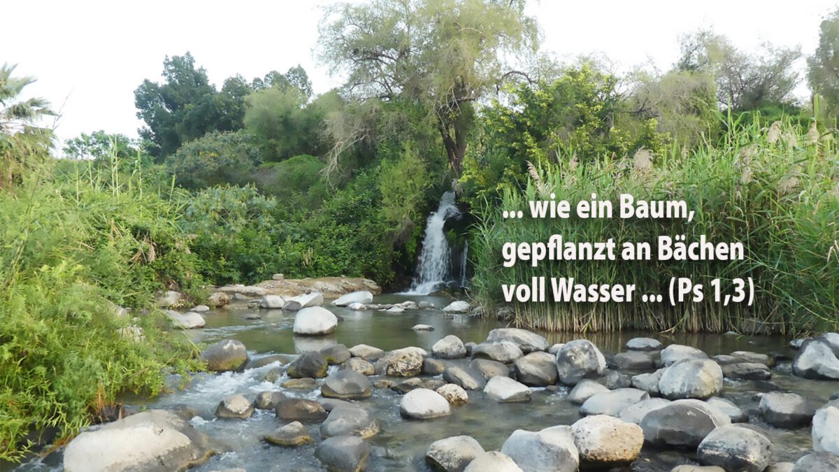 Psalm 1: Vom Glück, aus Gottes Wort zu leben