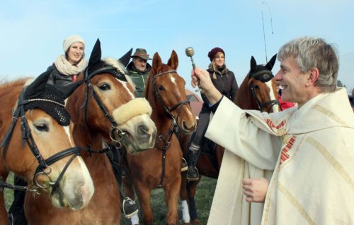 Am 26. Dezember finden in einigen Kärntner Pfarren Pferdesegnungen (im Bild: in St. Stefan im Lavanttal) statt. Foto: Emhofer