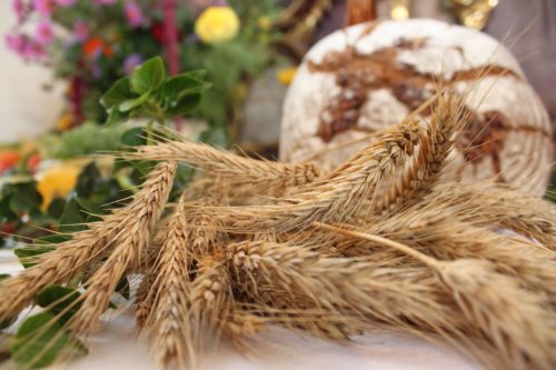 Erntedank in Pörtschach am Ulrichsberg (© Foto: Helga Riepl)