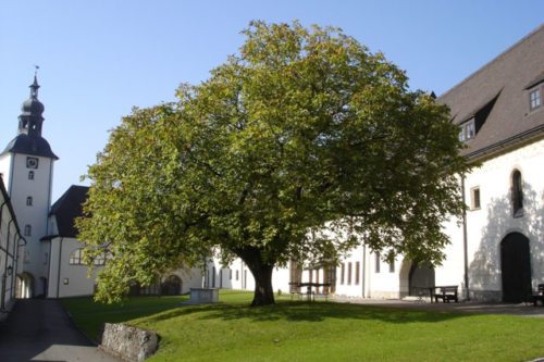 Das Exerzitien- und Bildungshaus der Benediktiner-Abtei Michaelbeuern in Salzburg ist Tagungsort der Österreichischen Bischofskonferenz (© Foto: abtei-michaelbeuern)