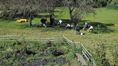 Die Ernte im Garten schärft den Blick für das Verhältnis zwischen Anstrengung und Ertrag und lehrt einen Widerwillen gegen die Ver­schwendung. (Foto: Neumüller)