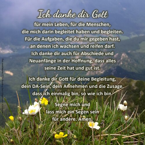 Bildunterschrift (Bildrechte sind zwingend anzugeben!) Bildunterschrift (Bildrechte sind zwingend anzugeben!)