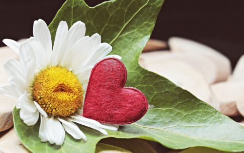 Gedenkseite für liebe Verstorbene und Sternenkinder (pixabay) Gedenkseite für liebe Verstorbene und Sternenkinder (pixabay)