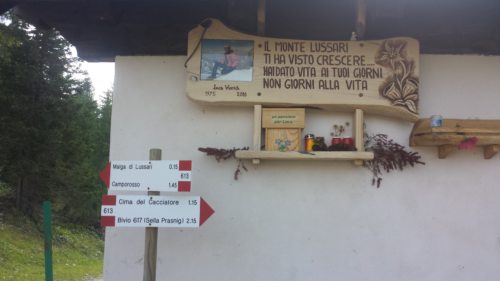 Die Pfeile, die den Wanderern die Richtung anzeigen. (© Foto: Lukas)