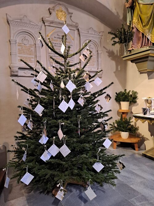 Bildunterschrift (Bildrechte sind zwingend anzugeben!) Bildunterschrift (Bildrechte sind zwingend anzugeben!)