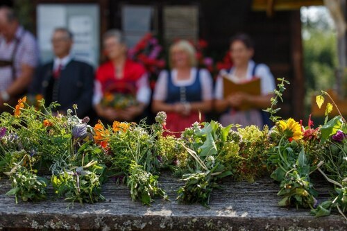 In zahlreichen Pfarren werden bei den Gottesdiensten am 15. August die Kräuter gesegnet. Foto (Kräutersegnung in der Pfarre Hlgst. Dreifaltigkeit am Gray): Anton Wieser In zahlreichen Pfarren werden bei den Gottesdiensten am 15. August die Kräuter gesegnet. Foto (Kräutersegnung in der Pfarre Hlgst. Dreifaltigkeit am Gray): Anton Wieser