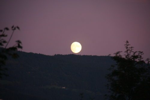 Der aufgehende Mond begleitete die Wandergruppe auf ihrem Weg (©Auer/DSG Kärnten)