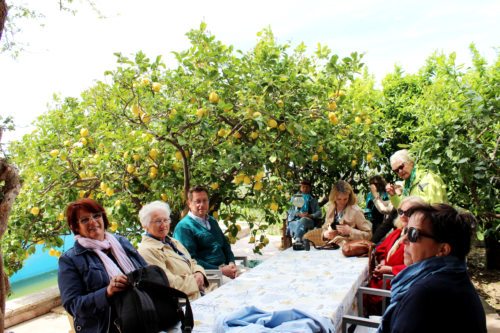 Im Garten unserer Reiseleiterin (© Foto: Christiane Greilberger) Im Garten unserer Reiseleiterin (© Foto: Christiane Greilberger)