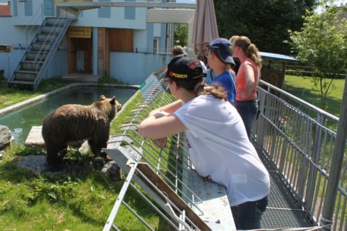 (© Foto: pfarre villach st. martin/ZS) (© Foto: pfarre villach st. martin/ZS)