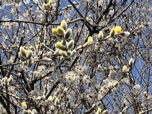 Bildunterschrift (Bildrechte sind zwingend anzugeben!)